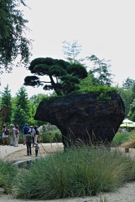 IMG_1696H (Andere).JPG