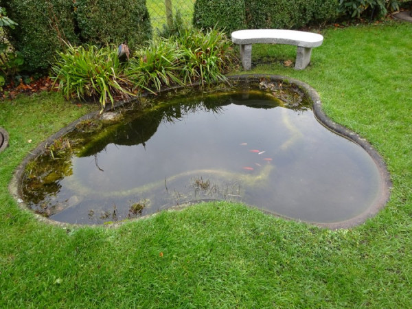 Gartenteich DSC02459s.JPG