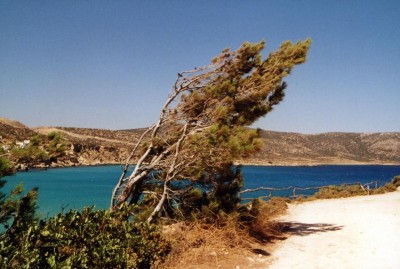 2001_06_52 Karpathos Amoopi Strand.JPG
