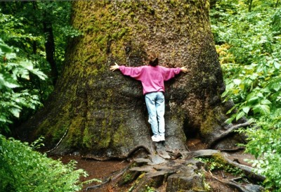 1994_09_15 USA Washington Rain Forest.JPG