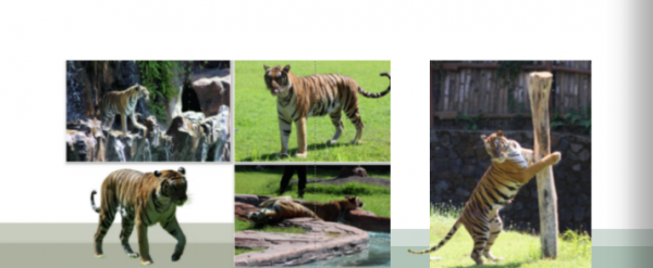 Screenshot (411).png