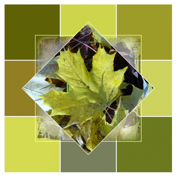 Screenshot (444).png