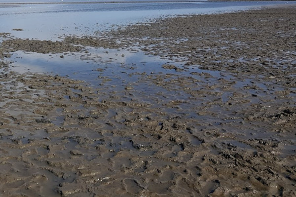 20200806_105941 (2).jpg