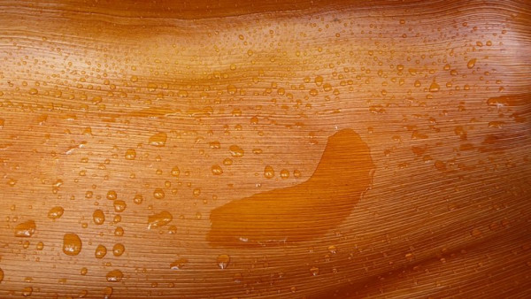 P1070510_Anse de Cascades.JPG