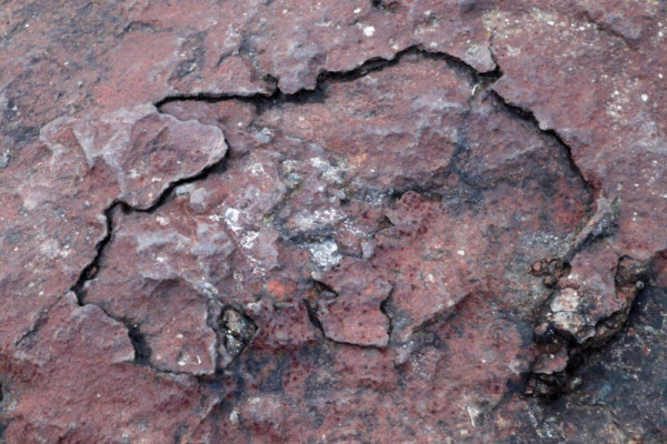 IMG_8668 (Custom).jpeg