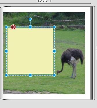 Bearbeitungsmodus 1.jpg