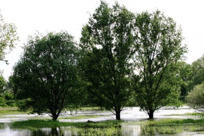 IMG_1466 (Andere).JPG