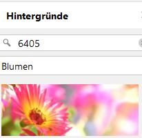 6405_Hintergrund.JPG