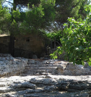 Naturtreppen auf marllorca1.jpg