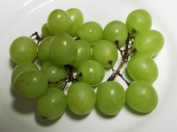 weintrauben.jpg