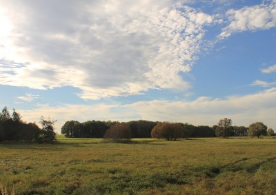 IMG_0867r (Andere).JPG