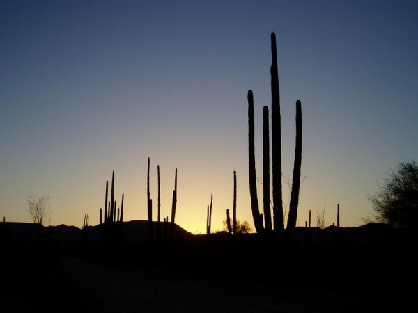 Mexiko-Originale 050 (Copy).jpg