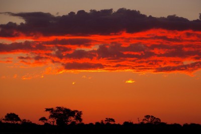 Abendhimmel im Okavangodelta.jpg