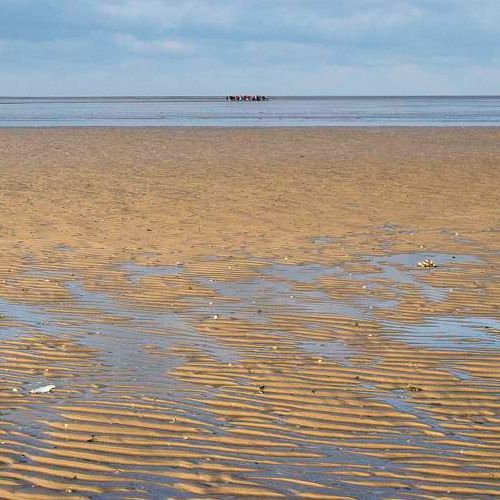 Thalasso-Wattenmeer-Nordsee-Neuharlingersiel.jpg