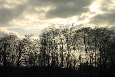 IMG_2008 (Andere).JPG