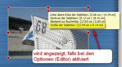 Selektionsgroesse.jpg