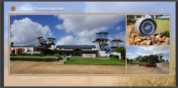 Black Oystercatcher.JPG