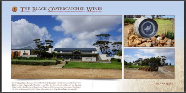 Black Oystercatcher-Korrektur2.JPG