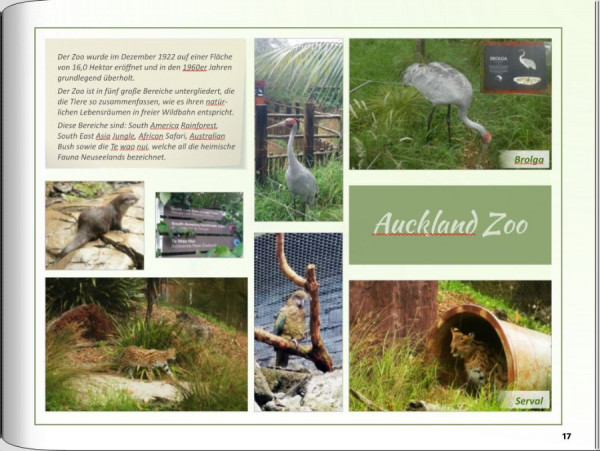 Seite 17 - grün fett.JPG