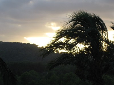 kurz bevor die Sonne unter ging und den Himmel rot färbte.jpg
