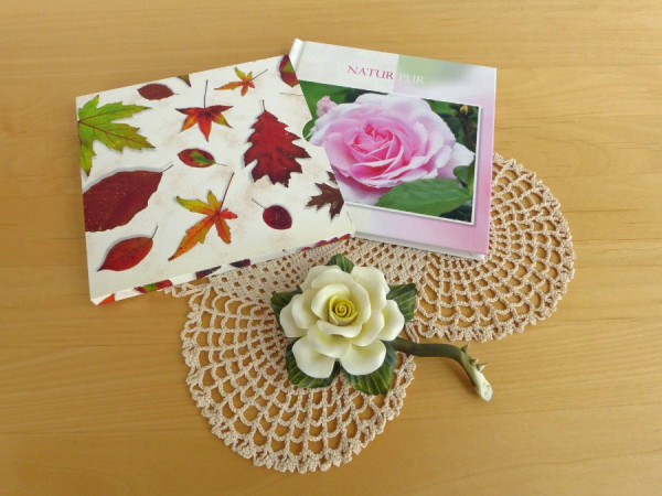 Kleines Geschenk.jpg