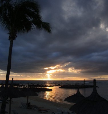 RIMG0423 - Kopie.JPG