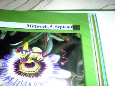 522957-208953 Seite 51 ausgedruckter Auftrag von CEWE.JPG