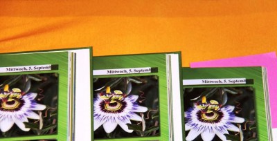 522957-481263 selber Fehler wie 522957-208953 Seite 50-51 die zweite.jpg