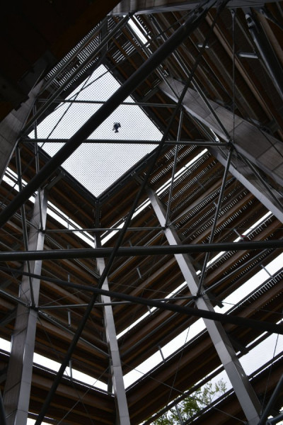 09.23Baumwipfel (19).jpg