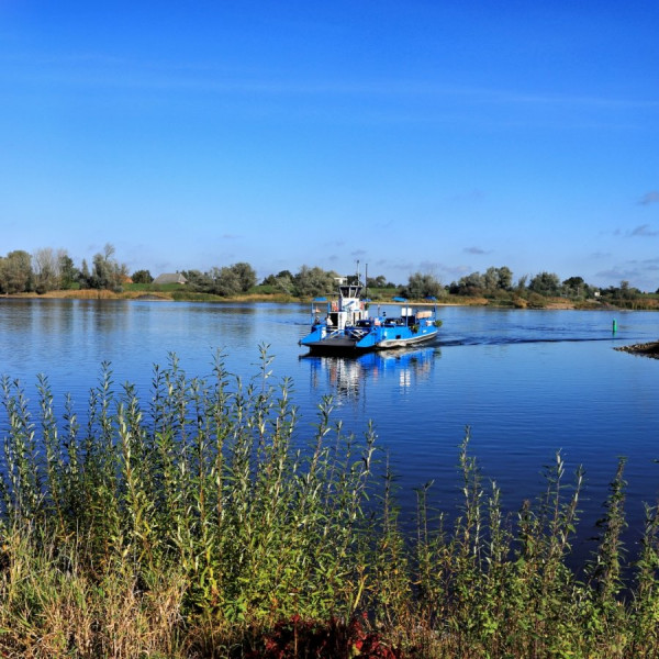 IMG_0909 (Groß).jpg