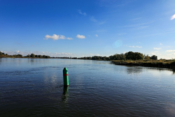 IMG_0912 (Groß).jpg