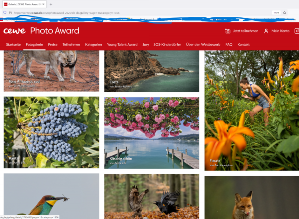 Screenshot (203).png