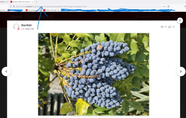 Screenshot (204).png