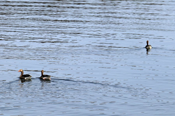 IMG_1548 (Groß).jpg