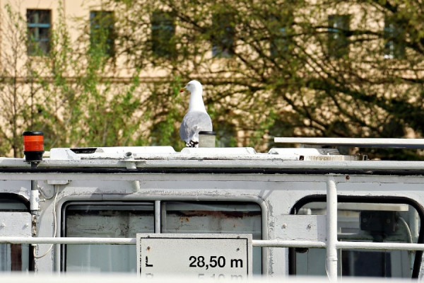 IMG_1534 (Groß).jpg