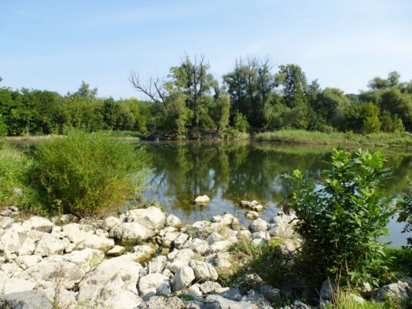 _Petroneller Au (Niederösterreich) P1320403.jpeg