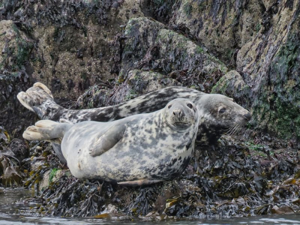 k-Three Bridges Tour South Queensferry (2).jpg