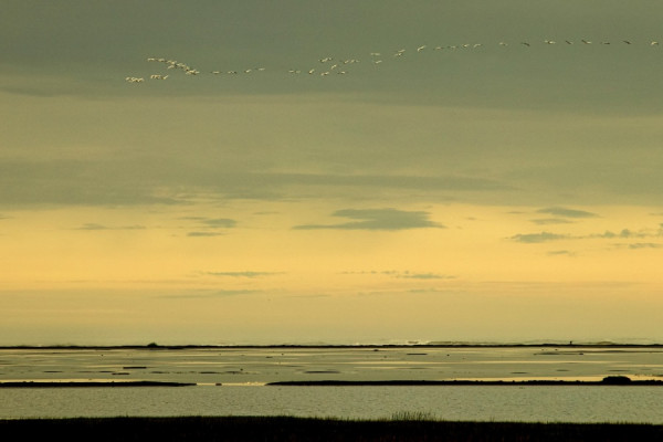 _MG_2025-Bearbeitet Kopie-Bearbeitet.jpeg