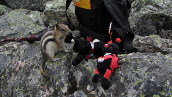 3092  Consulation Lakes 28 06 2010.JPG