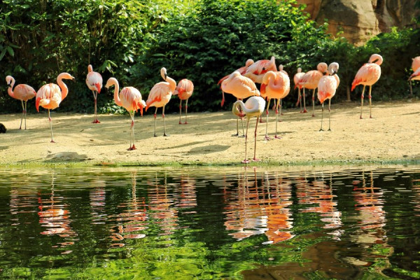 IMG_3217 (Groß).jpg