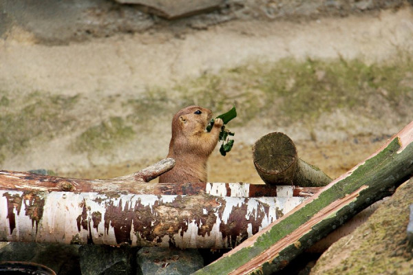 IMG_3242 (Groß).jpg