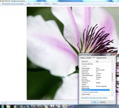 dm-Fotowelt 27.11.2013 132218.jpg