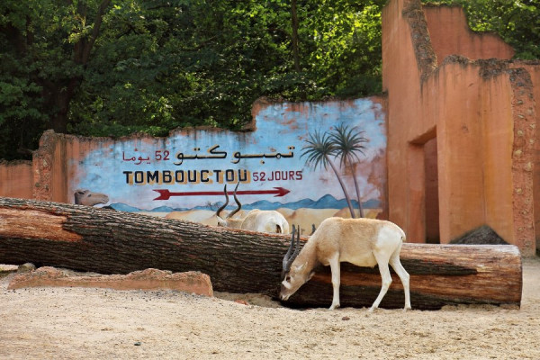 IMG_3223 (Groß).jpg