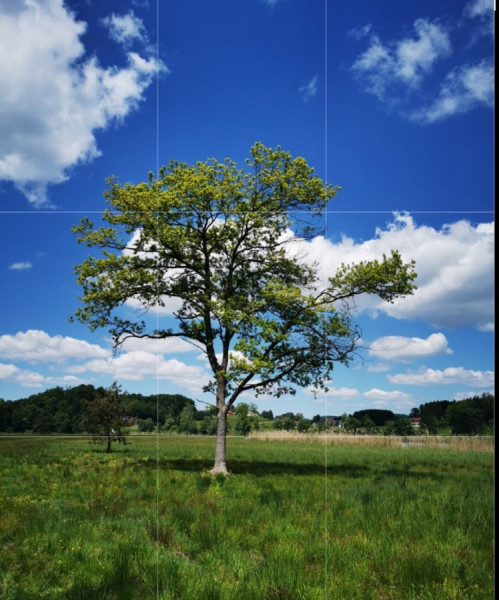 Screenshot_20240801_171525_Photo Editor.jpg