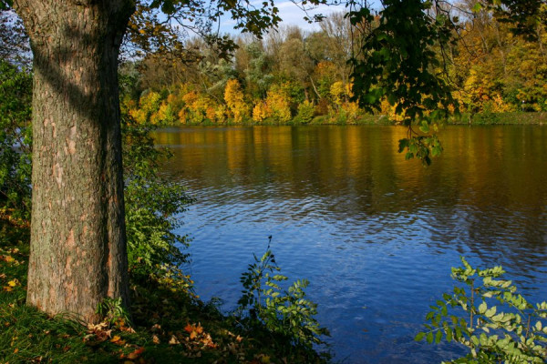 Herbst_an_der_Donau.jpg