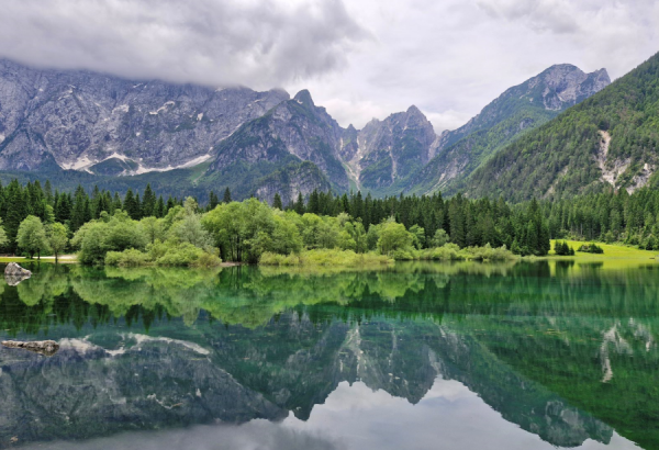 Screenshot (305).png