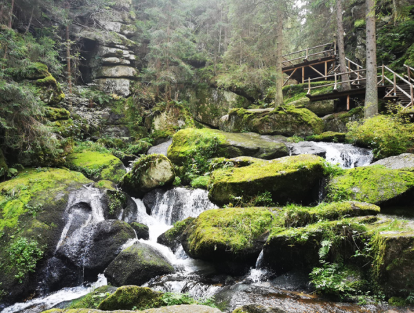 Screenshot (306).png