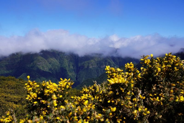 k-Paul Serra Ebene (2).JPG