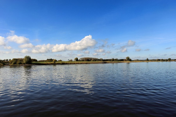 IMG_0936 (Groß).jpg