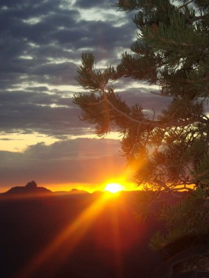 Sony DSC W110 F5 BZ 400 ISO 400 BW 18.jpg